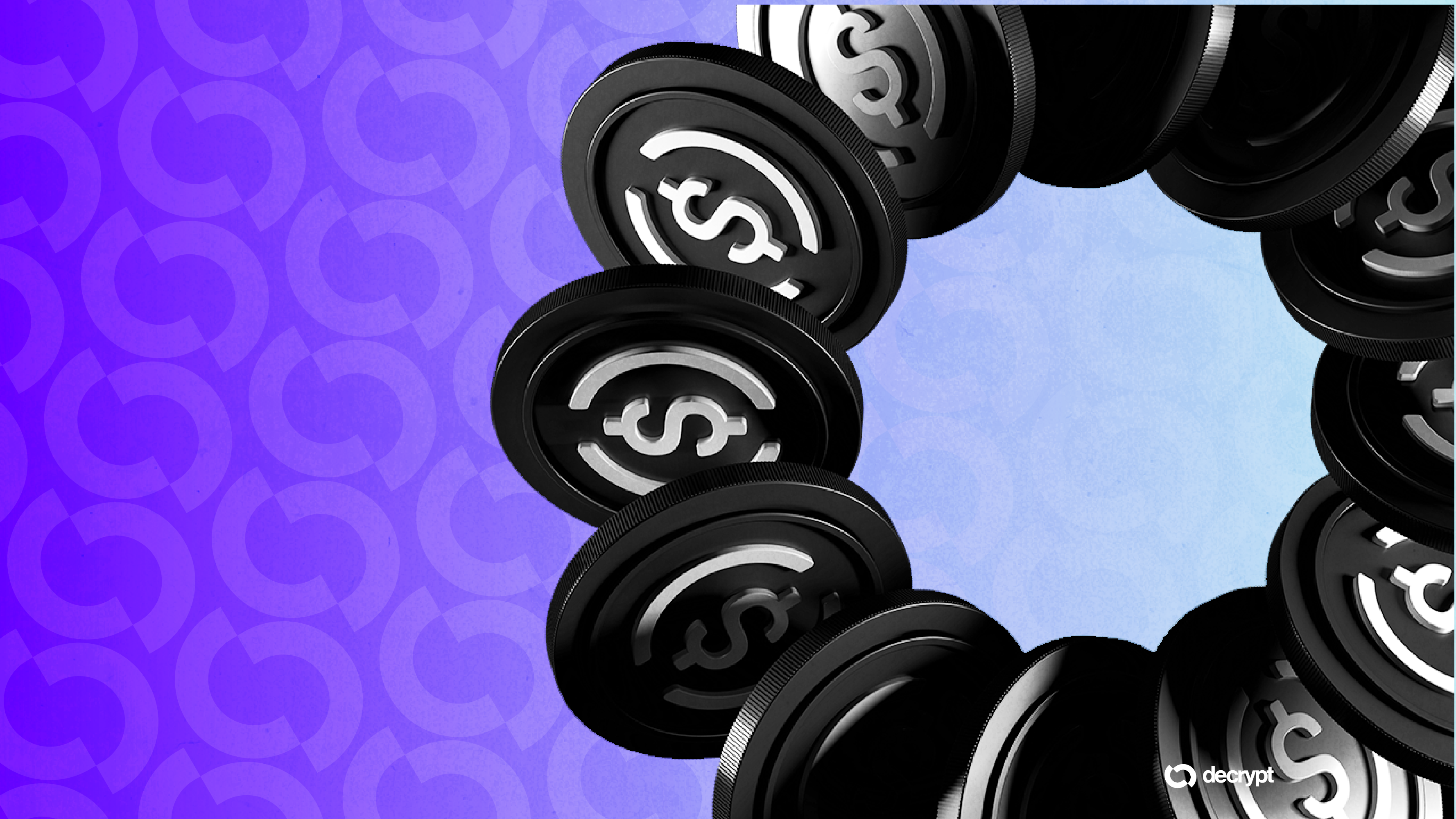 圈子的股票涌入到历史最高的高度：新闻探险家的拍摄