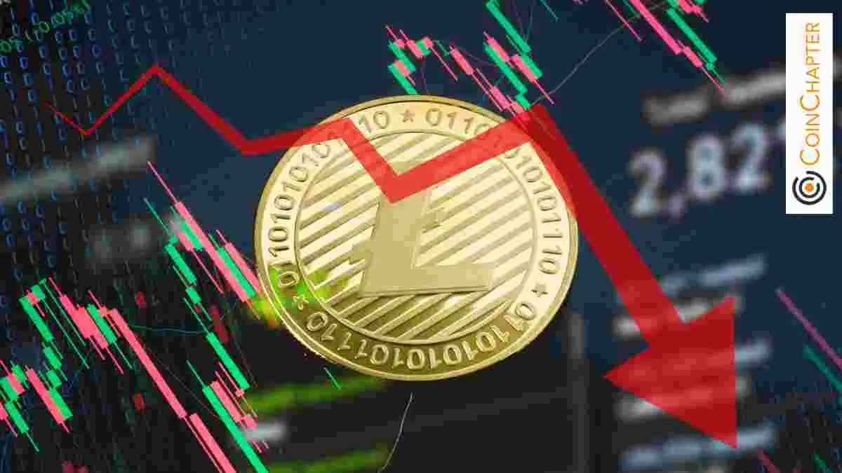 2025代币新趋势：从模因文化到实用落地