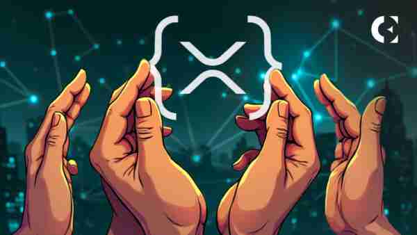 XRP Ledger的交易胜利：24小时内510万！