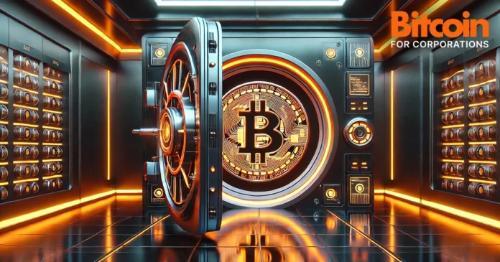 比特币自主托管：企业财务抗风险新范式