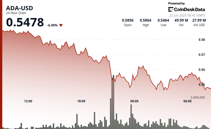 ADA,战争问题和Cardano项目:尽管市场波动,但看涨前景