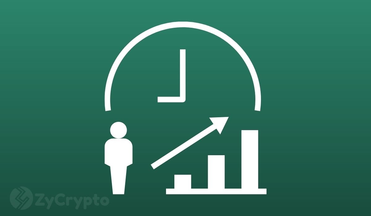 Ruvi AI挑战Tron：AI+区块链新势力能否颠覆格局？