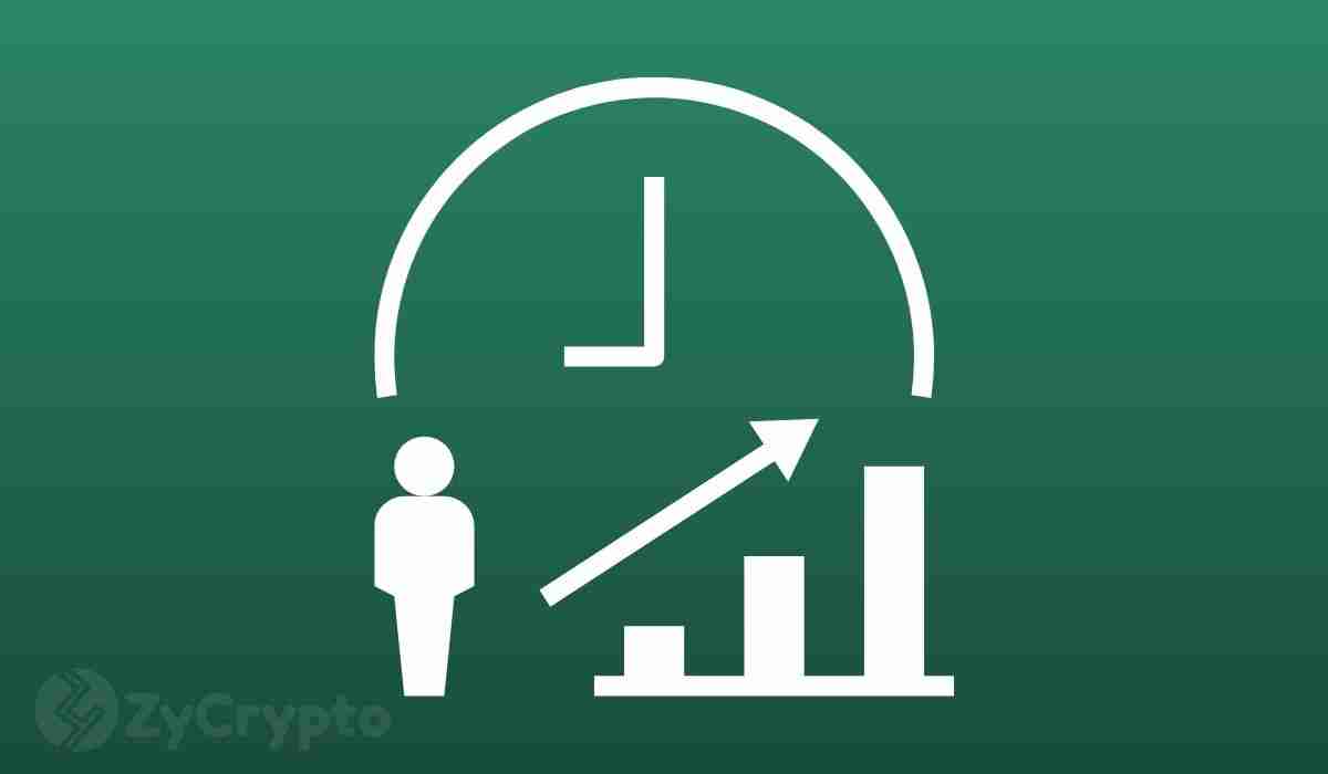 Doge，USDT和Elon Musk：一种加密鸡尾酒搅动市场