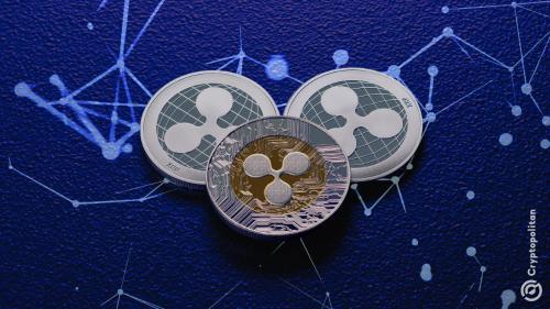 XRP Ledger 2.5.0升级引爆网络活跃度，批量交易与代币托管成焦点