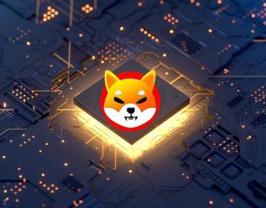 柴犬销毁率暴跌99%：SHIB价格会继续下跌吗？