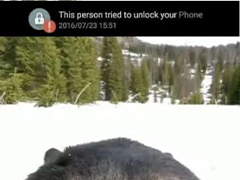 比特币波动加剧：熊市来临？三大情景解析与应对策略