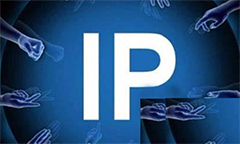 IP币合约地址查询指南：多链部署与安全验证全解析