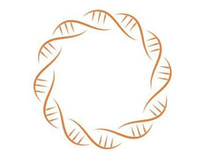 NKGEN币是什么？揭秘基于NK细胞技术的区块链项目