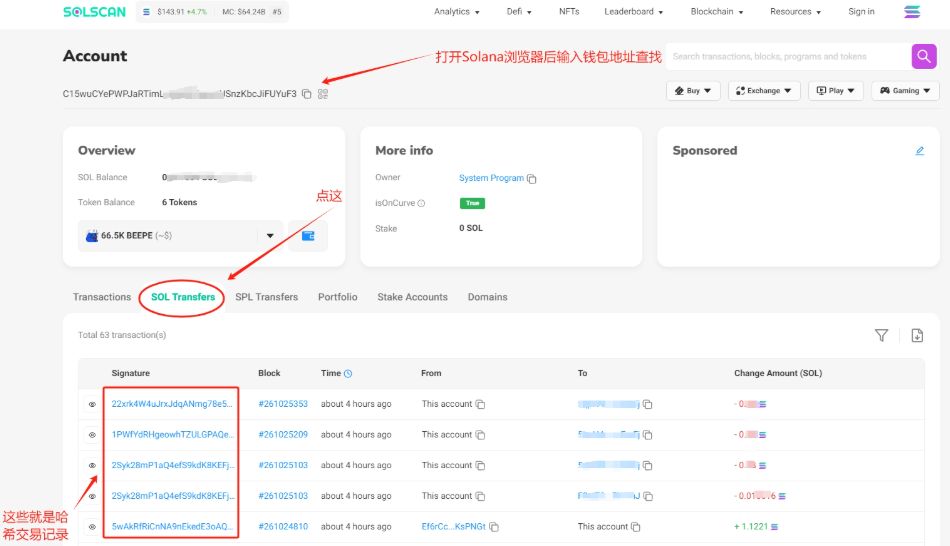 搜索栏输入示例