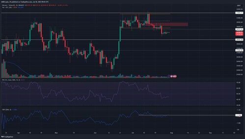 囤比特币必须看哪些指标?