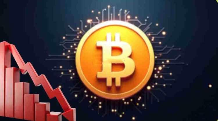 支持加密货币的国家分布图