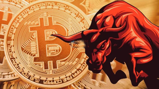 Santiment：比特币巨鲸开始重新累积BTC！山寨季无法到来是meme币影响？