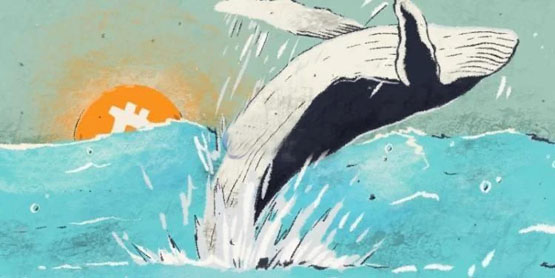 Glassnode数据：巨鲸在不断买入比特币！较小投资群才在卖BTC