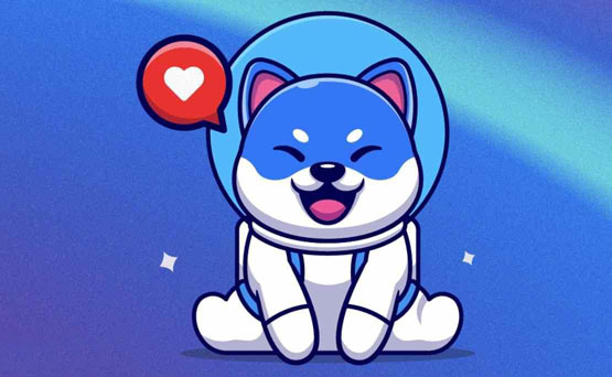 VINU币发行量多少?VINU币总量介绍