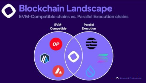 MonadDB数据库架构图
