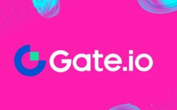 gate.io支持的代币链上信息展示