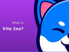 Vita Inu(VINU)币价波动加剧，市场趋势与生态进展引关注