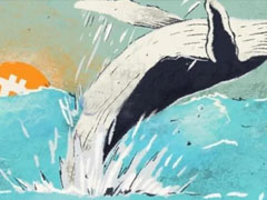 巨鲸持续买入比特币！市场波动中显韧性