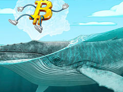 比特币鲸鱼吸收300%新供应，10万美元目标逼近