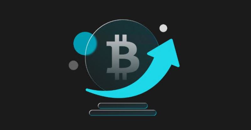 比特币彩虹图解析：掌握市场情绪与投资时机