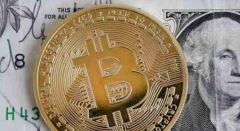 比特币市值占比怎么看？实时数据平台全解析