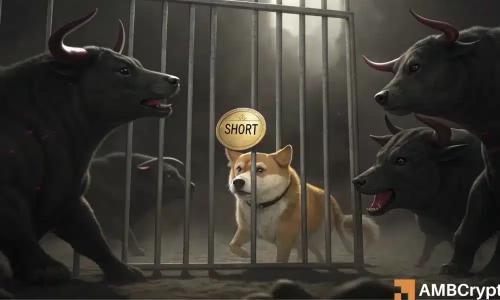 DOGE盘整暗藏玄机？多头布局或成熊市陷阱伏笔