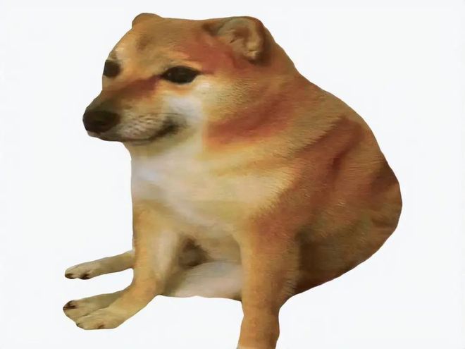 2025值得长期持有的山寨币有哪些 - 比特之家