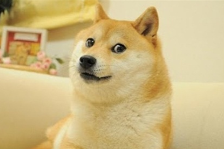 ELON DOGE是马斯克新模因币吗？真相揭秘