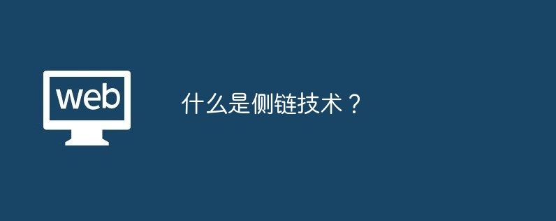 什么是侧链技术？