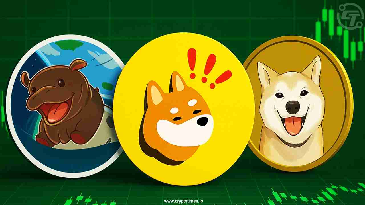 Moo Deng、Neiro、Bonk闪耀：迷因币狂潮席卷加密货币市场！