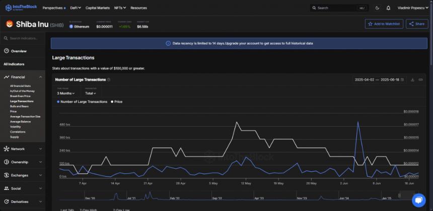Shiba Inu large transaction analytics dashboard InTheBlock