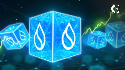 Sui开发者激增但SUI代币疲软：区块链悖论引关注