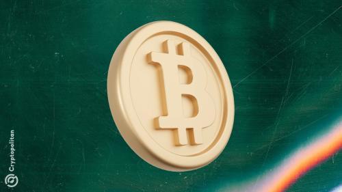 2025年比特币活跃度放缓 持有趋势强化市场信心