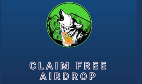 零知识证明揭秘：zk-SNARKs如何提升区块链隐私安全