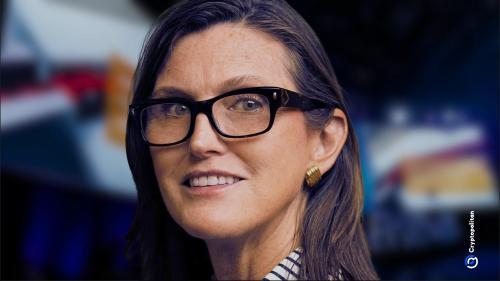 凯西·伍德力挺马斯克：特斯拉股价下跌仍看好长期战略