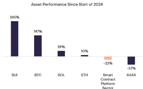 Sui链崛起：高吞吐量+垂直整合，成下一代区块链竞争焦点
