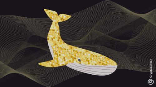 以太坊巨鲸抛售3.3万枚ETH 机构却在加速吸筹