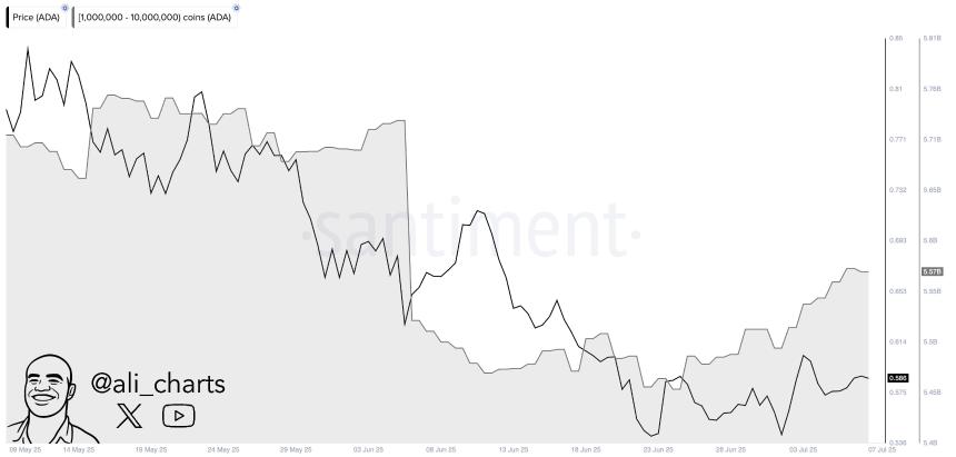 卡尔达诺周线图首次出现金叉