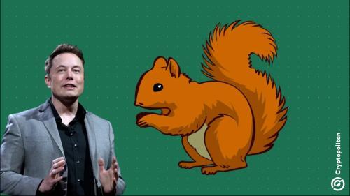 马斯克表情包帖引爆Solana meme币PNUT，24小时涨超10%