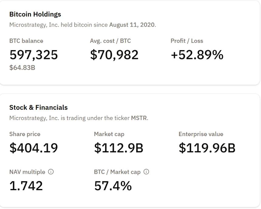 「头号巨鲸」Strategy 暂停增持，比特币市场或迎关键节点