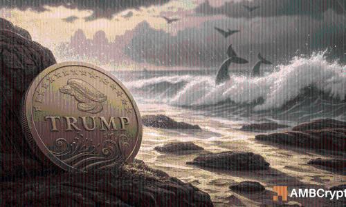 TRUMP代币鲸鱼持仓超530万 看涨信号与清算风险并存