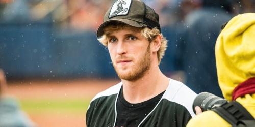 CryptoZoo诉讼新进展：法官驳回前助理管辖权请求