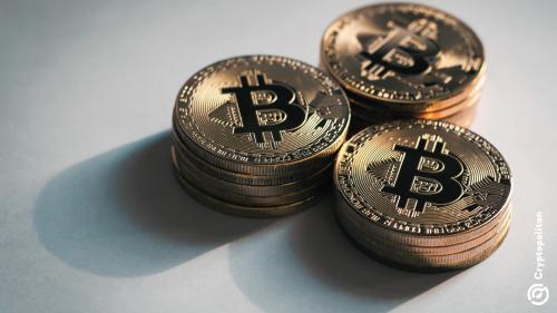 Animoca Brands携手DDC Enterprise拟建1亿美元比特币储备库