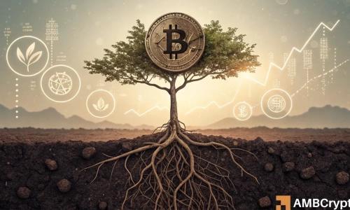 比特币波动加剧：未平仓合约创新高，空头挤压引市场震荡