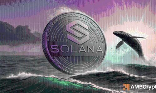 SOL突破杯柄形态，鲸鱼加码多头能否引爆新一轮行情？