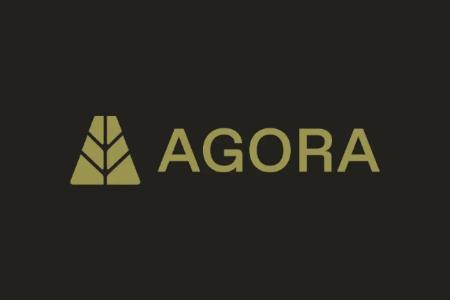 Paradigm重金押注Agora，白标稳定币能否重构市场格局？