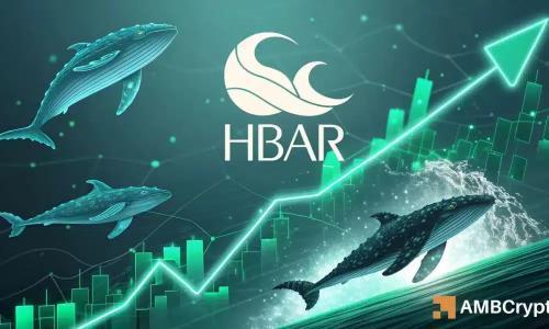 HBAR 24小时暴涨15% 鲸鱼增持与多市场看涨信号共振