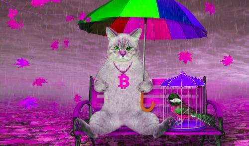 比特币突破11.8万美元引警惕：分析师警告牛市陷阱风险