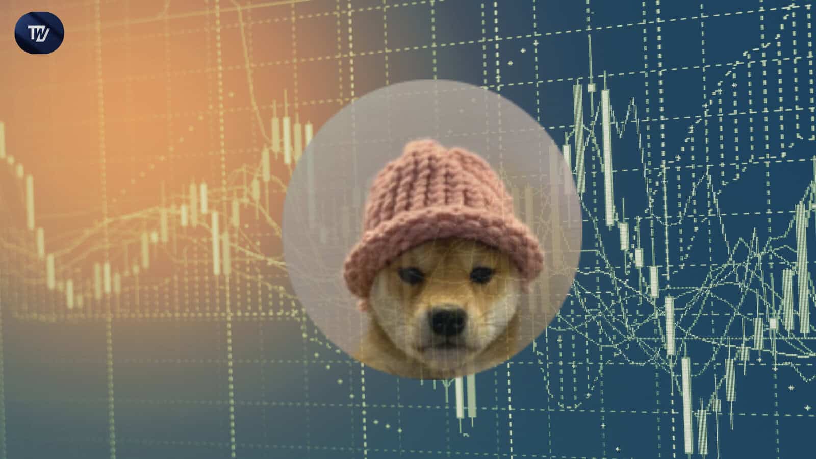 鲸鱼豪掷100万美金抢购PUMP代币，Solana模因币热潮引爆市场