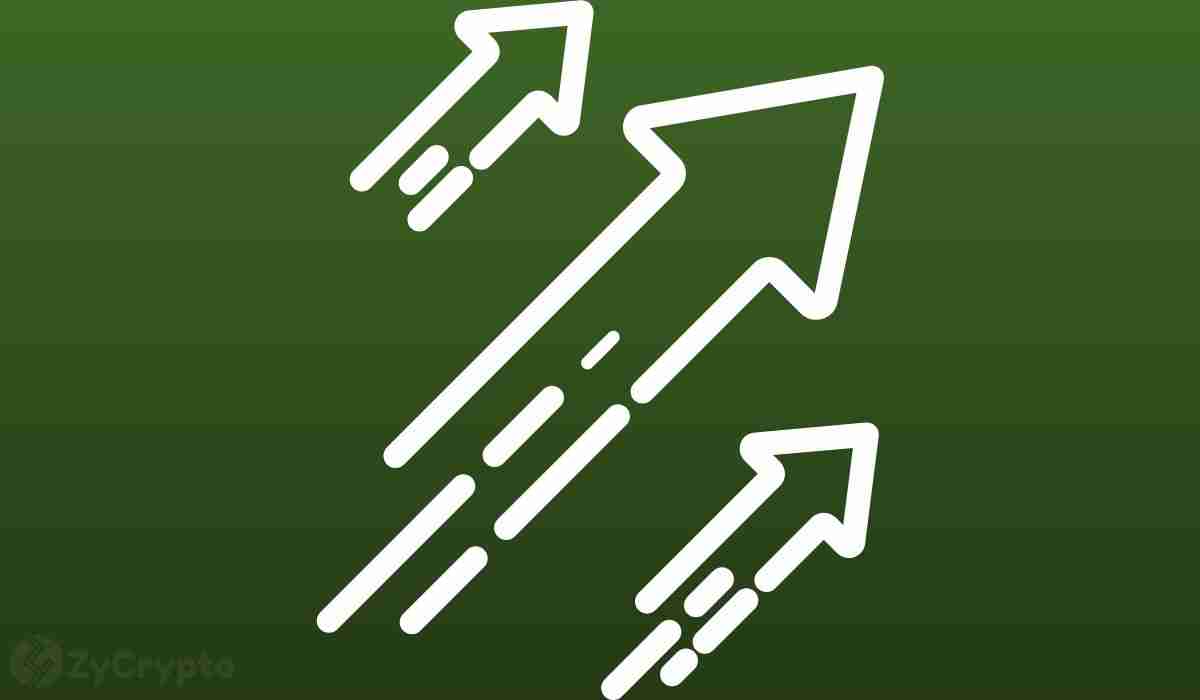 XRP、SOL 与 ETF 批准热潮:下一步是什么?